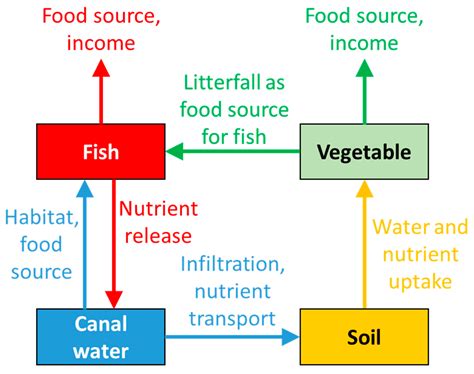 Agronomy Free Full Text Improving Productivity In Integrated Fish