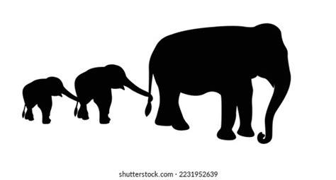 Silhouette Elephant Baby Elephantvector Illustration Stock Vector ...