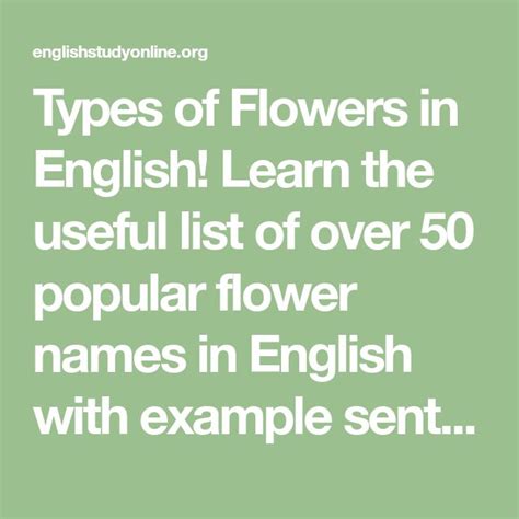 Types Of Flowers List Of 50 Popular Flowers Names With Their Meaning