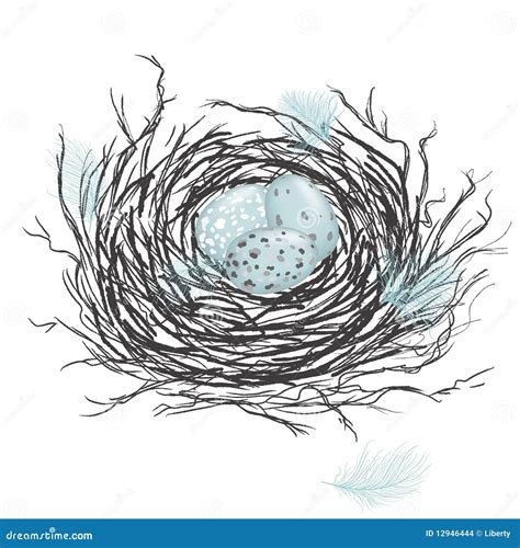 Bird Nest Pencil Drawing