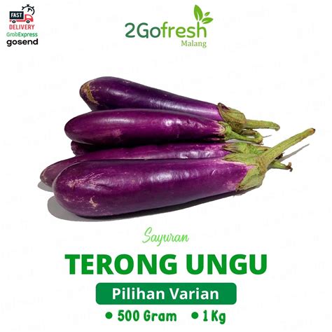 Jual Terong Ungu Fresh Sayur Sayuran Shopee Indonesia