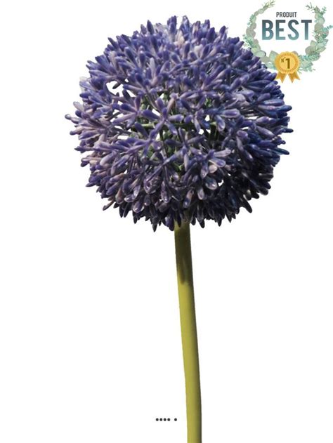 Allium Artificiel En Tige Sp Cial Grande Taille H Cm Lavande