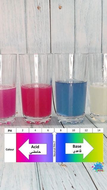 Red Cabbage Ph Indicator Science Experiment For Kids