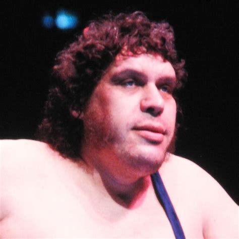 Andre the Giant Height: The Wrestling Legend's Stature — citiMuzik