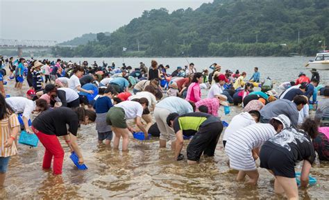 하동섬진강문화재첩축제 지역축제 대한민국 구석구석 축제