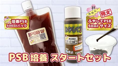 桜めだか Psb培養スタートセット販売開始