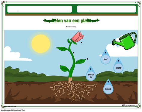 Delen Van Een Werkblad Voor Het Matchen Van Planten