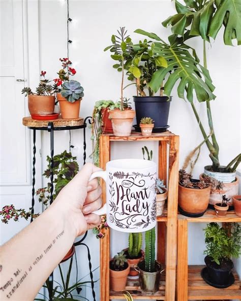 Premium Photo Midsection Of Woman Holding Potted Plant