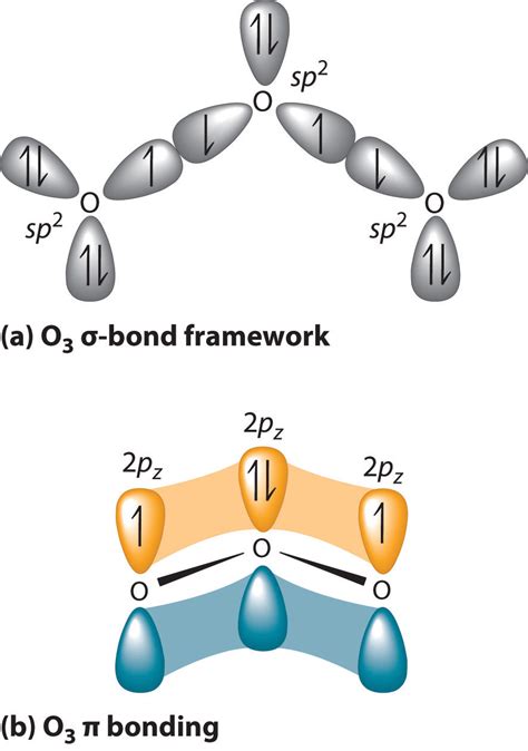 Polyatomic Systems With Multiple Bonds