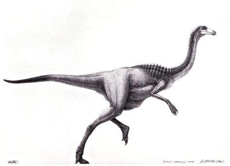 Jurassic Park 30 Orignal Concept Art Collection