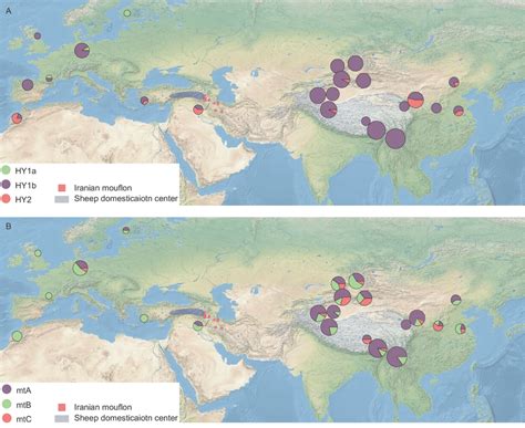 Distribution Of Y Chromosome A And Mitochondrial B Haplogroups In