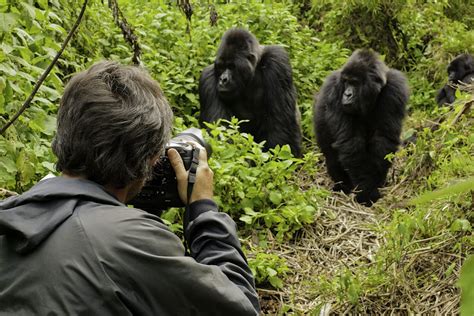 Eastern DRC travel - Lonely Planet | Democratic Republic of Congo, Africa