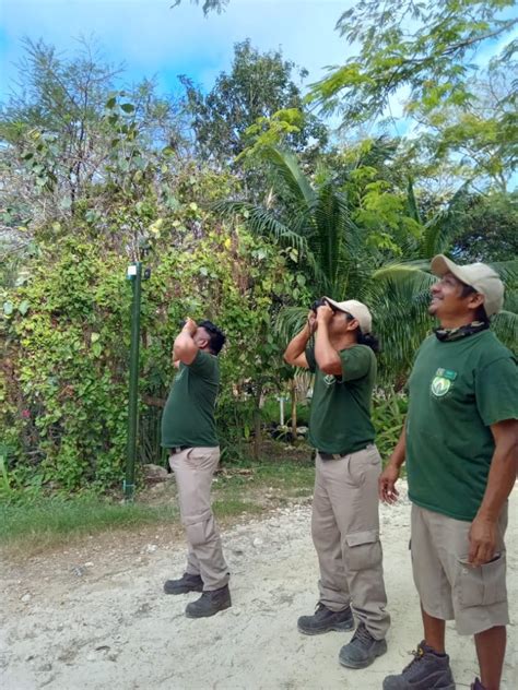 Programa De Areas Verdes Flora Fauna Y Cultura De M Xico Bekaab