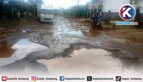 Kupas Tuntas Bertahun Tahun Jalan Akses Pertanian Di Matarambaru