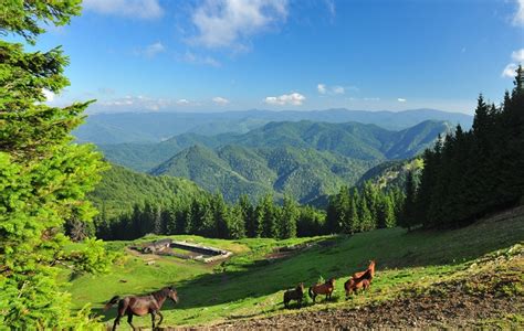 Drumetii Si Excursii Trasee Turistice In Muntii Vrancei