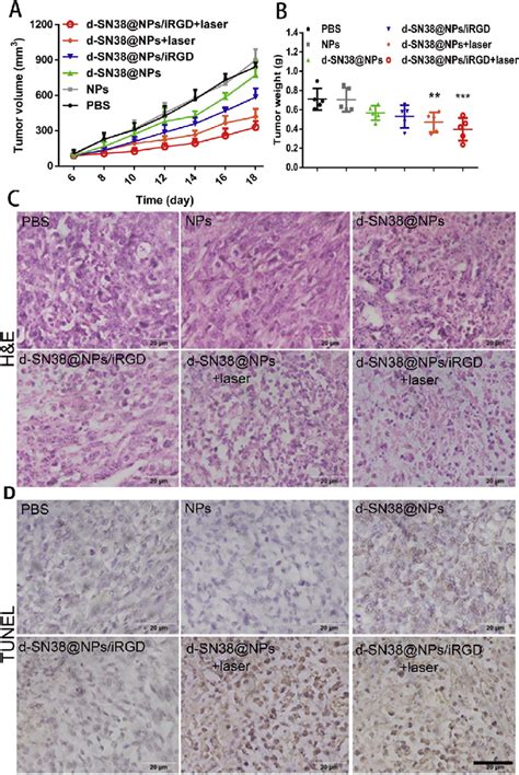 In Vivo Antitumor Efficacy A Tumor Volume And B Tumor Weight Of