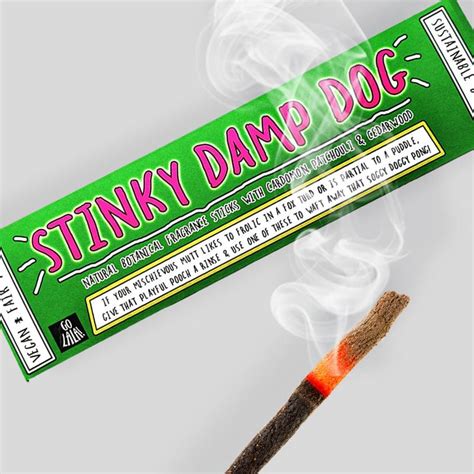 Stinky Damp Dog Funny Smells Incense Sticks Frivvy