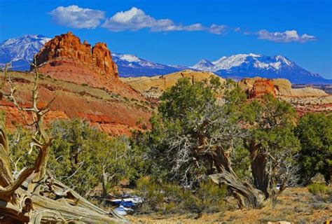 Henry Mountains | Utah.com