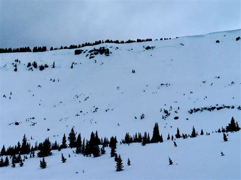 Warming surface snow below treeline and recent avalanche activity ...