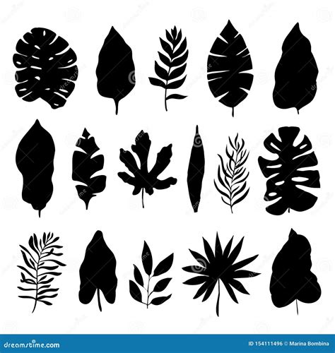 Tropical Leaves Silhouettes Set Isolated On White Background Vector