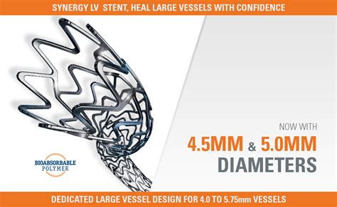 Everolimus Eluting Platinum Chromium Coronary Stent System Boston