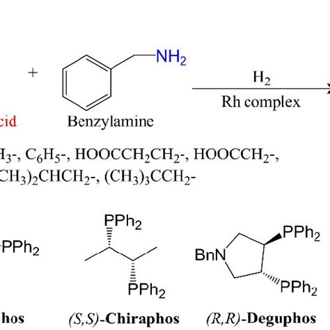 Scheme A Conversion Of Keto Acids To Amino Acids Over Rh Based