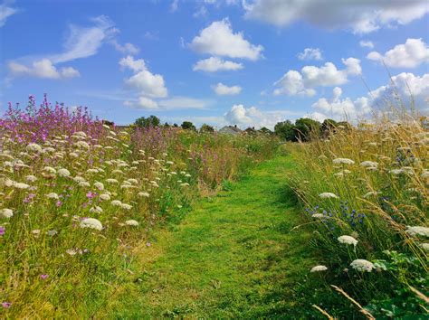Navigation and Map for Ealing Common Station 3