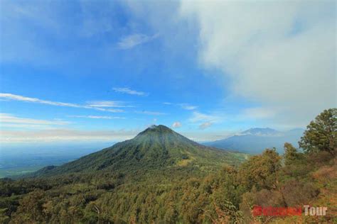 Full Day Tour Ijen Crater And Baluran National Park From Banyuwangi