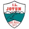 Jotun Live Scores Results Fixtures Football Norway