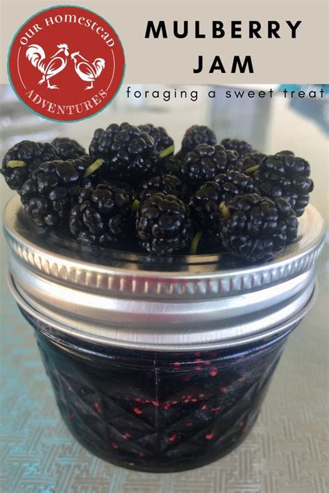 Delicious Mulberry Jam Recipe