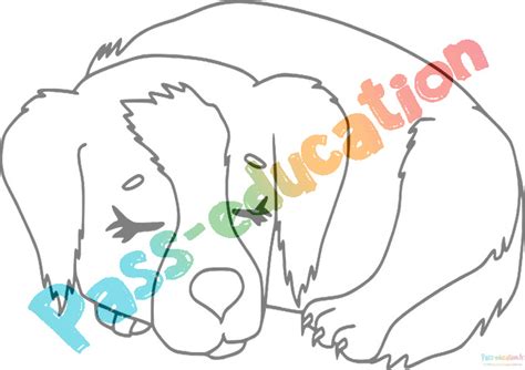 Coloriage Chiot Gratuit à Imprimer Dessins De Chiots à Colorier