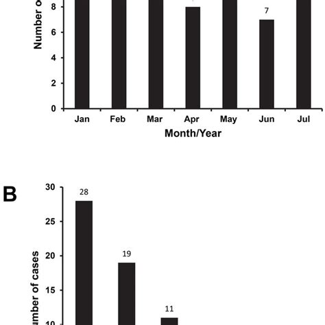 Dengue Cases Monthly Distribution A And Patients Age B All Download Scientific Diagram