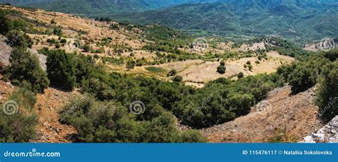 Green Forest On Hillsides In Meteora Greece Stock Image Image Of