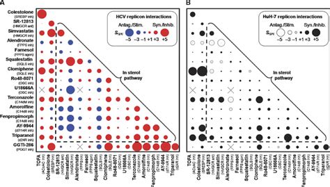 Overview Of The Hcv Replicon And Host Responses Showing The Observed