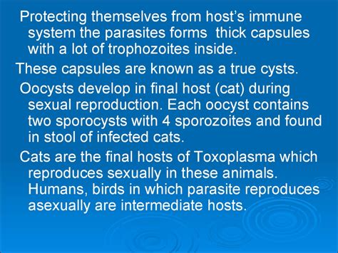 Protozoa As Parasites Of Human Being презентация онлайн