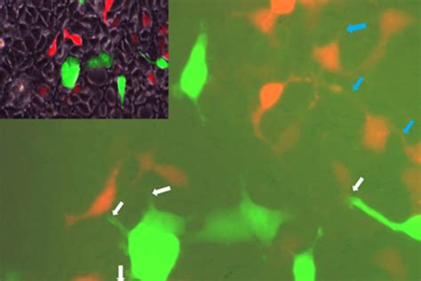 Readers are sharing the gazette obits to remember their neighbors 20