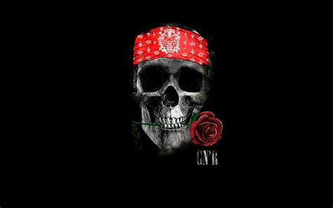 HD wallpaper: skull, rose, minimalism, Guns N' Roses, GNR, headband ...