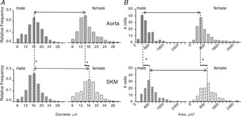 Figure 3 From Sex Differences Influencing Micro And Macrovascular