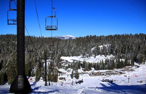 California Ski Maps | Badger Pass Ski Resort Trail Map