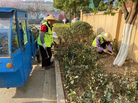 抢抓春季时机 开展绿化补植舒城县人民政府