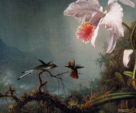 Two Hummingbirds Pink Orchid Flower Forest Painting By Martin Johnson