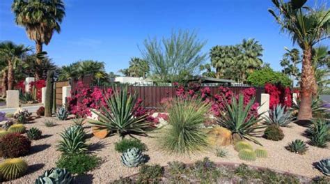 Xeriscaping In Northern California Sustainable Landscaping For A Water