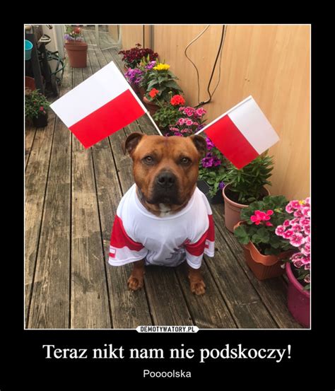 Teraz Nikt Nam Nie Podskoczy Demotywatory Pl