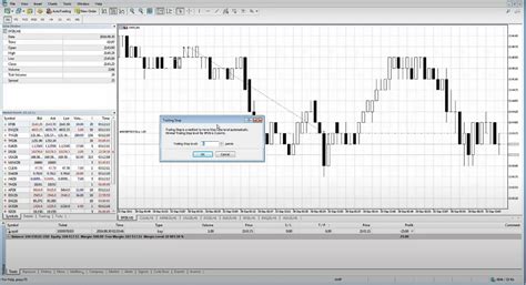 Setting Trailing Stop Losses On Metatrader Blueberry