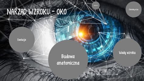 NarzĄd Wzroku Oko By Dominika Kluska On Prezi