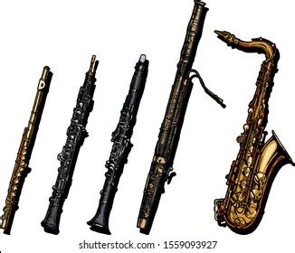 Vector Hand Drawn Set Woodwind Musical Stock Vector (Royalty Free ...