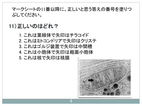 Ppt 生物学 Powerpoint Presentation Free Download Id7004583