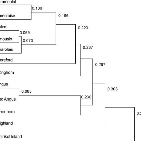 Dendrogram Of Genetic Relationships Among Populations Derived By