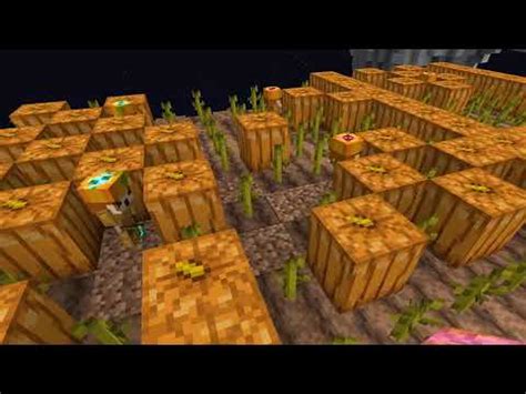 Pumpkin Farming In Hypixel Skyblock Chill Stream YouTube