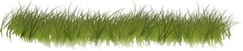 Download Transparent Clipart Grass Forest Grass Forest Grass